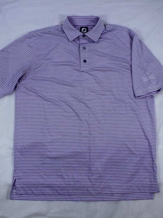 FootJoy Other - FootJoy (FJ) Men's Performance Golf Polo – Size L – Purple and White Stripes